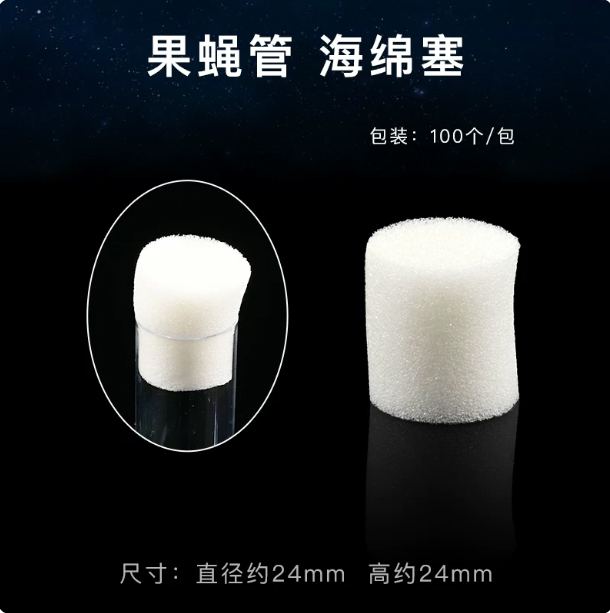 海绵塞(果蝇管)